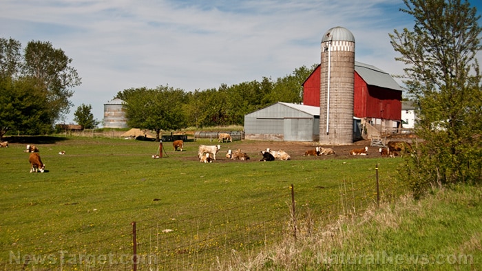 Big Pharma wants livestock animals to be injected with mRNA, but Missouri, North Dakota, Idaho, Tennessee and Arizona are proposing legislation to stop it